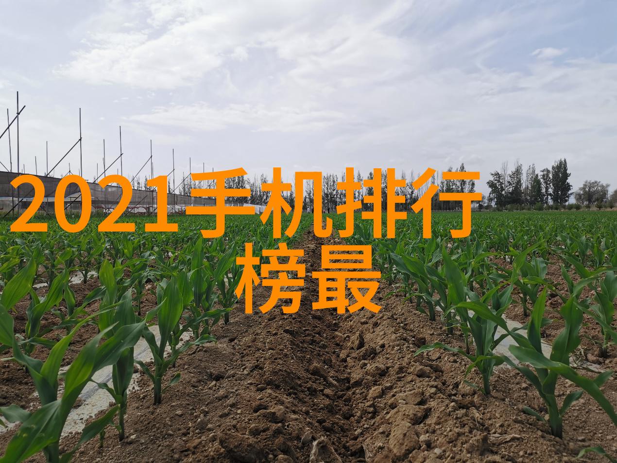 紧急需求水电安装工5名急招日薪300元立即上岗