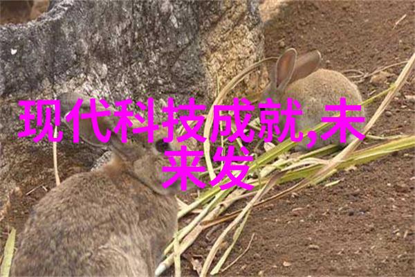 婚前教育视频全览准备好迎接爱情的新篇章