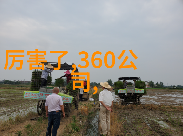ai软件开发框架评测性能与易用性之争