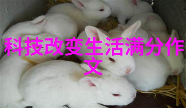 使用规整填料有什么环境保护意义