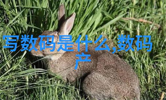 塑料造粒机-高效回收利用的关键技术与设备