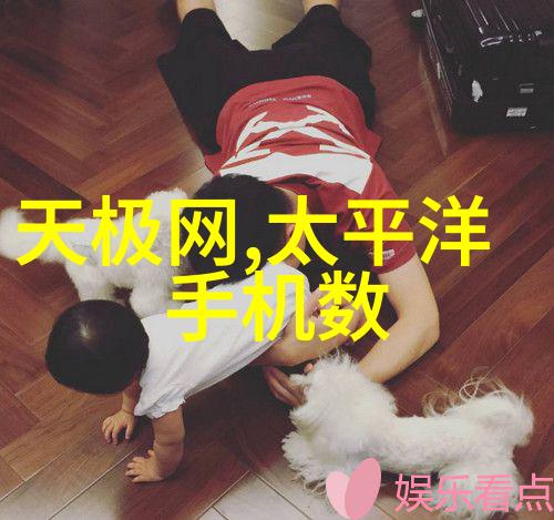 沙漠颂歌追逐梦想的荒漠狂舞