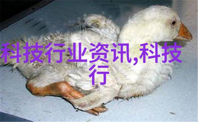 SA海思半导体受到制裁打击智能手机 AP 芯片出货量 Q3 下降 96