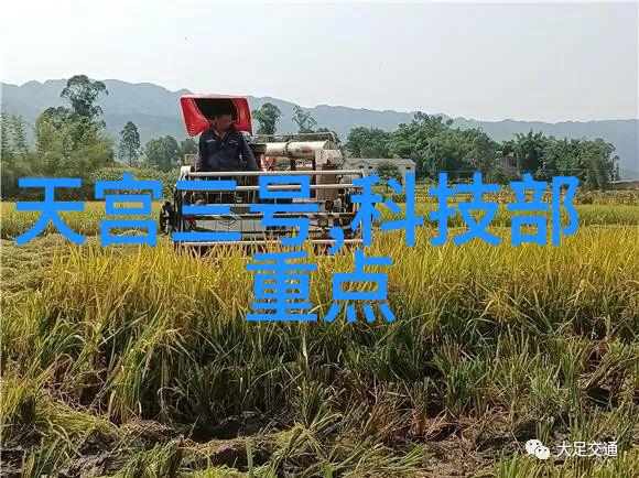 钢铁之翼不锈钢输送机的精彩应用