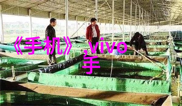 探索建筑材料的新篇章组合填料材质的奥秘与应用