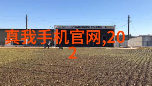 客厅装修风格简洁大方-轻盈空间如何在客厅中融合简约与宽敞