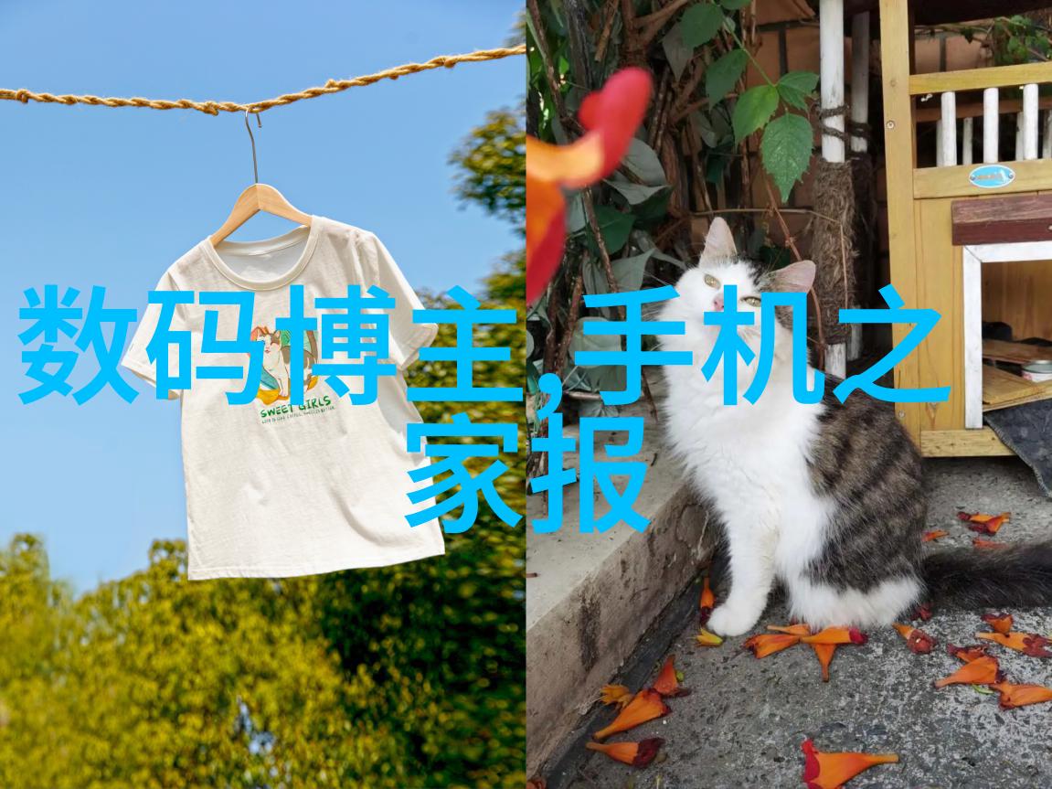 情况反映报告撰写指南与格式模板的应用实践