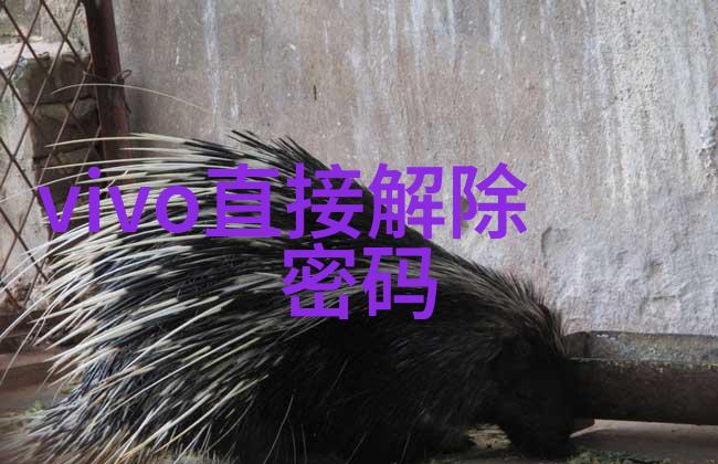 四房播播四房播播的独特音频内容
