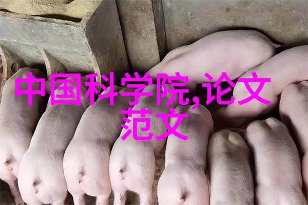 简约风格