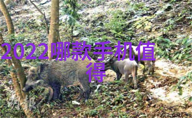 中央最新核酸检测规定-确保安全解读新政策下的防疫措施