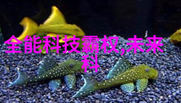 水质检测仪器操作指南详细了解如何使用水质检测仪器