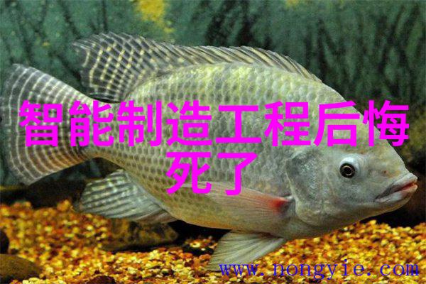 居家美学创意设计图解室内空间之美