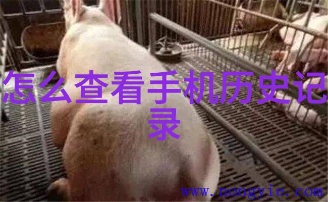 实验室设备实验台供应商专业实验桌制造商