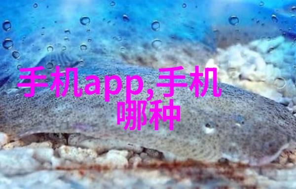 不锈钢丝网填料绿色环保的选择