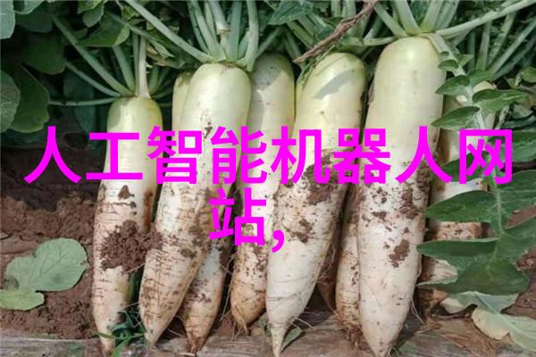 微波干燥技术与设备高效节能的食品保鲜解决方案
