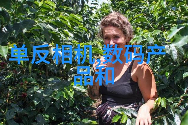 建筑构件建筑物的基础要素