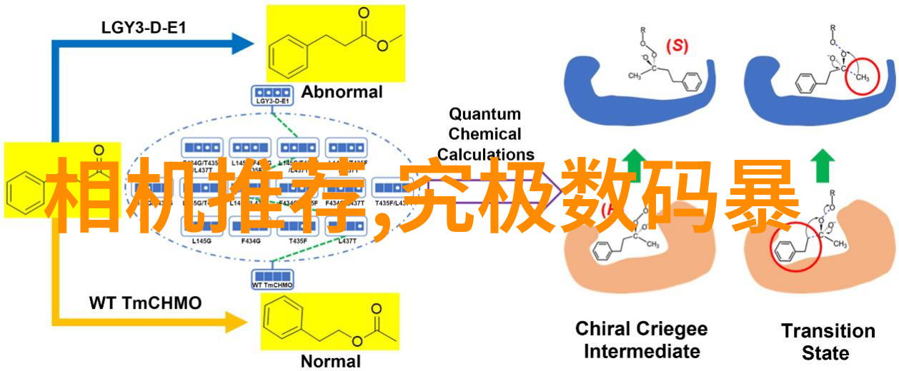 保洁-清洁之道探索家居保洁的科学与艺术