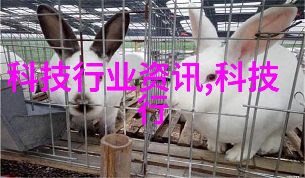 芯片设计师能干一辈子吗我是如何成为一名终身的芯片大师的