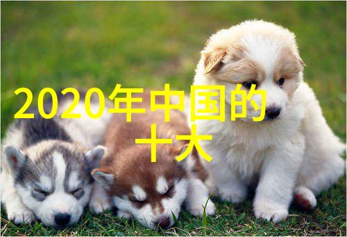 工业精准化工领域的计量之星