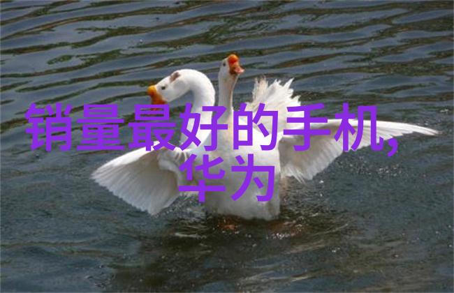 旋流曝气器我的日常小英雄