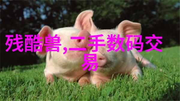 输送设备智能化运输高效的输送设备如何优化物流系统