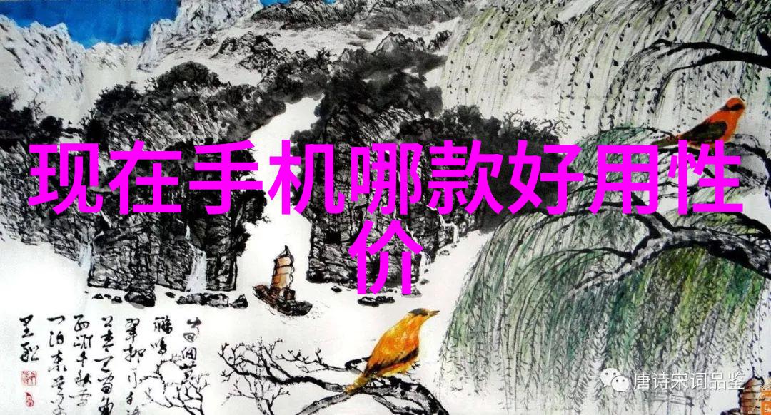 初中生综合素质评价系统的实施与思考