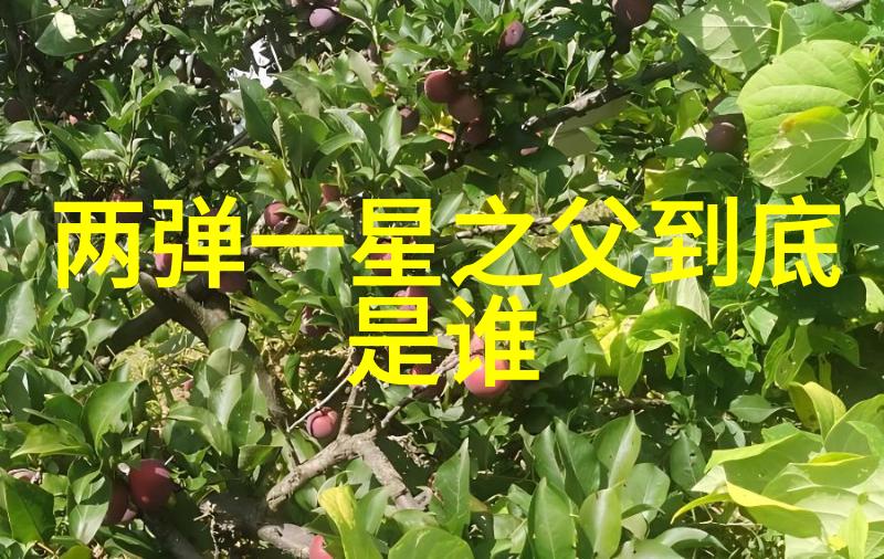 化学世界的常见居民探索一般化学品的多样性