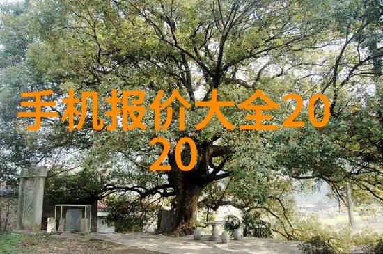 打扑克视频全程不盖被子-夜晚的挑战从无眠到冠军的扑克游戏