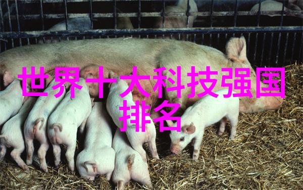智能化专家系统人工智能技术应用