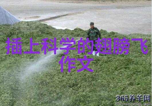 消声器我是如何用它来躲避邻居的嫉妒眼光的