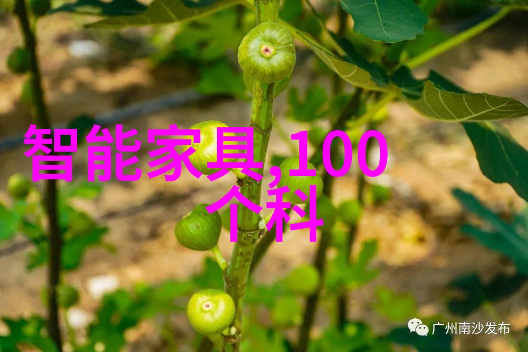 律政风云女律师的堕落
