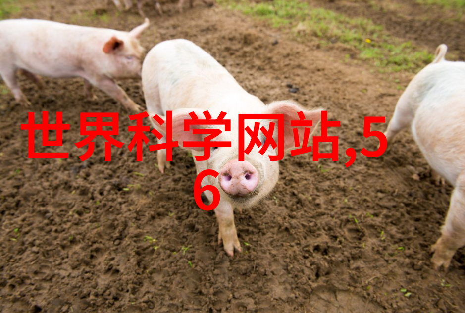 工业废气净化器-高效去除有害物质的现代工业解决方案