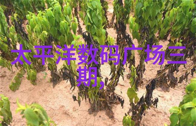 车轮上的秘密汽车部件的奇妙世界