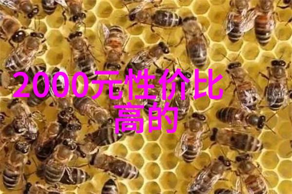 新时代新需求高效多功能的智能LED指示型水质检测笔
