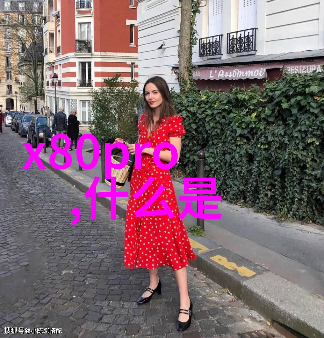 燃气蒸汽发生器技术奇迹还是安全隐患
