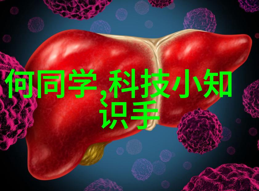 微小的巨人探究国家对芯片产业忽视的深层原因