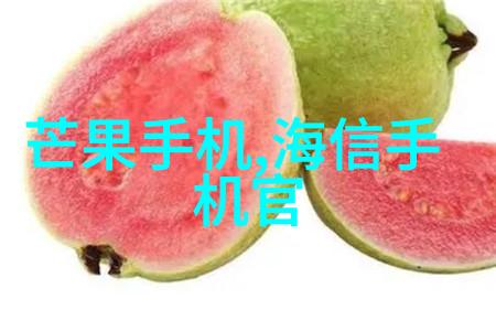 真空干燥设备高效率的物料处理技术