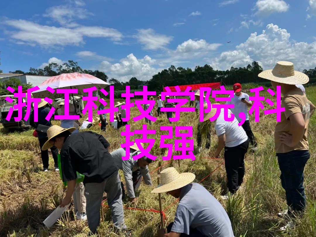 算无遗策解析影响丝网波纹填料性能的关键因素及其计算方法