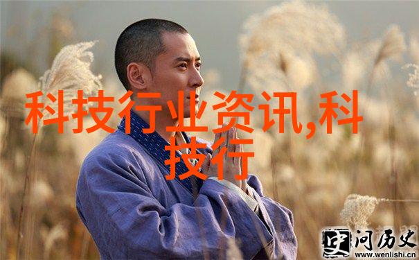 蓝色满天星花语中NEKCO 17 17单槽便携机又是一颗璀璨之星能否成为你的选择呢
