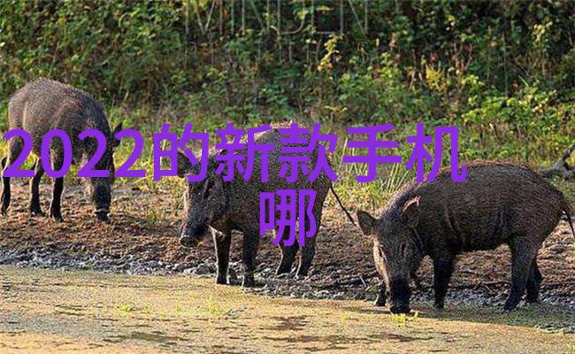 一统江湖全国大市场的宏伟蓝图与民间小店的温馨故事