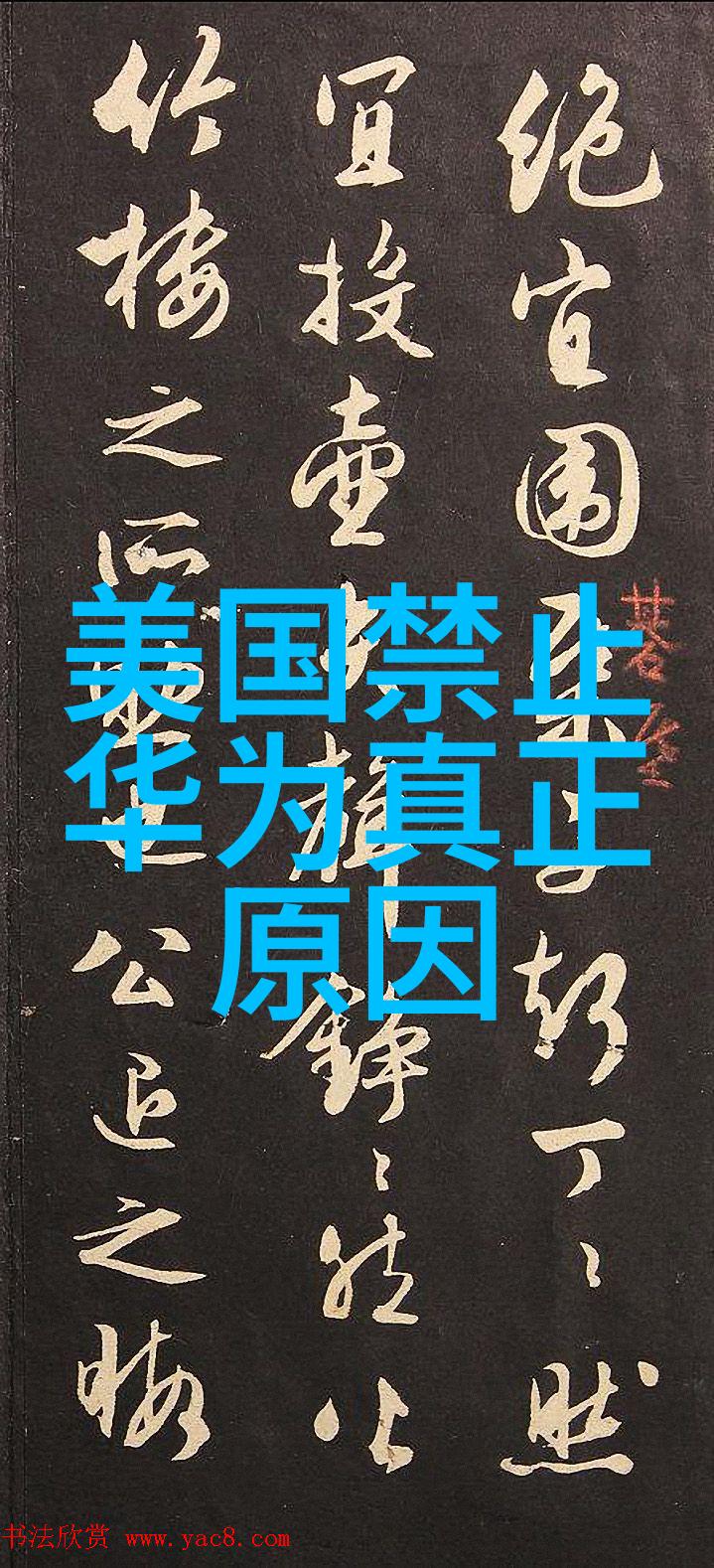 滚筒干燥设备我的工作伙伴如何让它更高效地帮我干燥物料