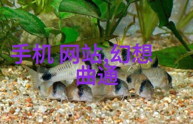 环境保护-处理酸性废气的高效策略与技术