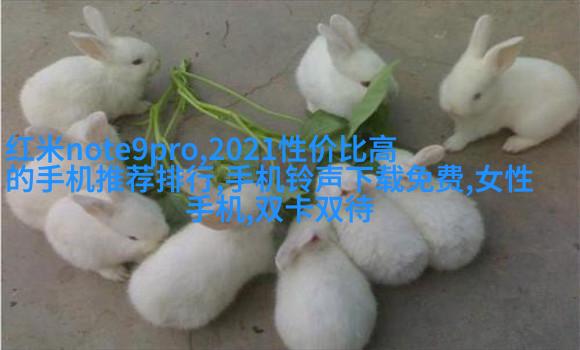 school_playground_drainage_project