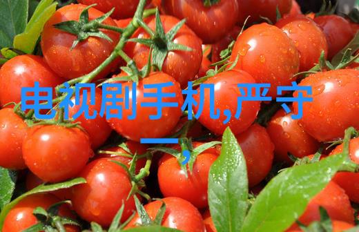 反应釜温度调节技巧水冷却方法与注意事项探究