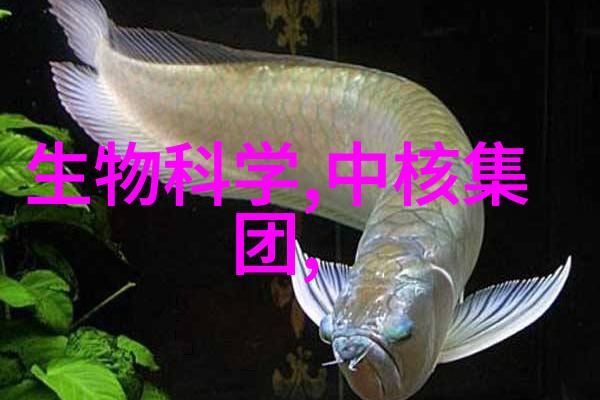 不锈钢波纹管与编织管比较哪种更耐用不锈钢波纹管与编织管的性能对比