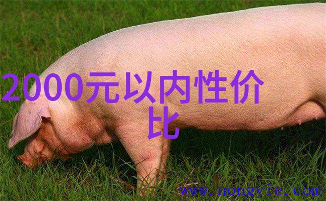 全球领先芯片制造商排行榜
