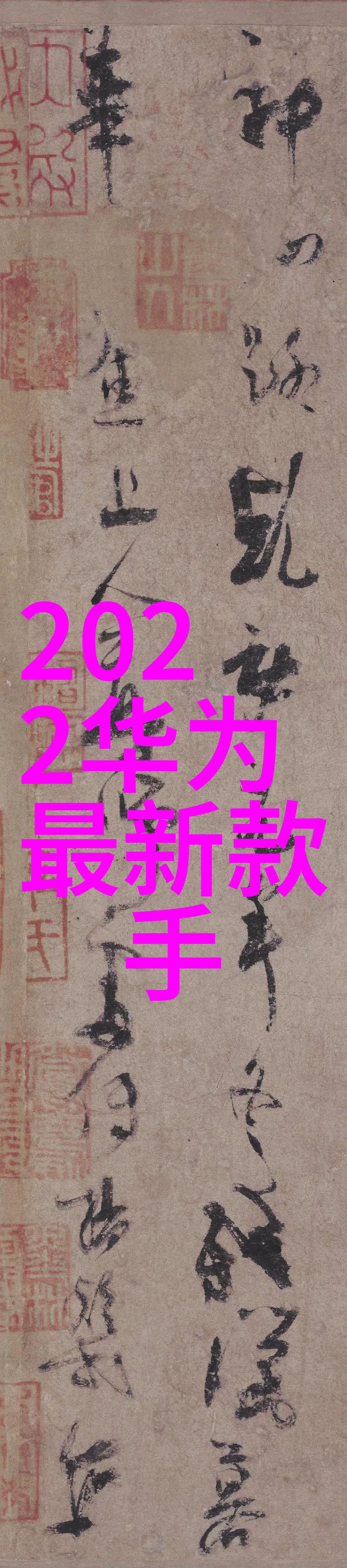 武藤兰作品中文名神奇宝贝大冒险