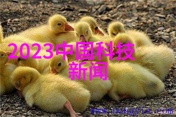 老人船上弄雨婷第12章视频老人船上的浪漫冒险