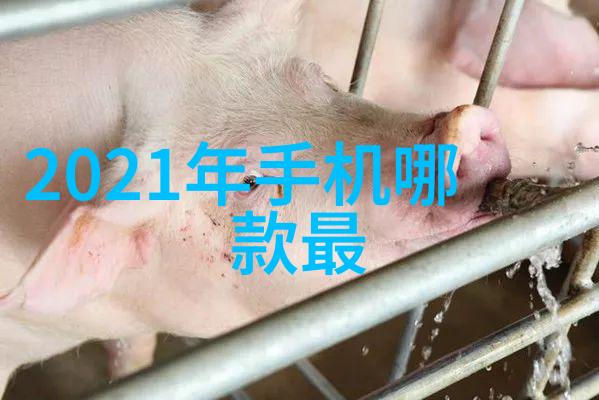 小区内安装小型纯净水设备的实用性与可行性分析