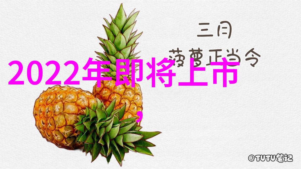 北京软件测评公司专业的软件测试与评估服务